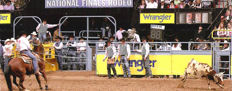 nfr photo
